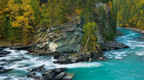 Le Parc Naturel de Jinyang: Une symphonie de couleurs et d'aventures palpitantes !